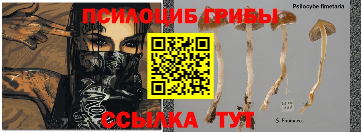 Кумертау  Псилоцибиновые грибы ЛСД  Вход с VPN  Псилоцибиновые грибы ЛСД 