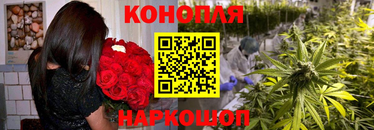 Марихуана сатива Кумертау